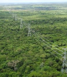 Proyecto Xingu Proyecto Xingu