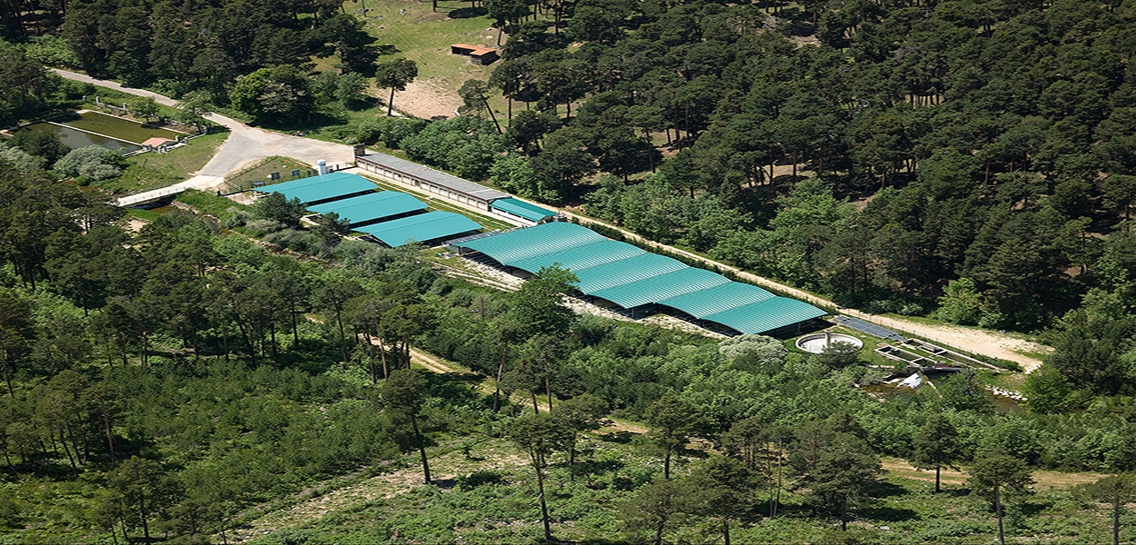 Eurofinsa construyendo futuro