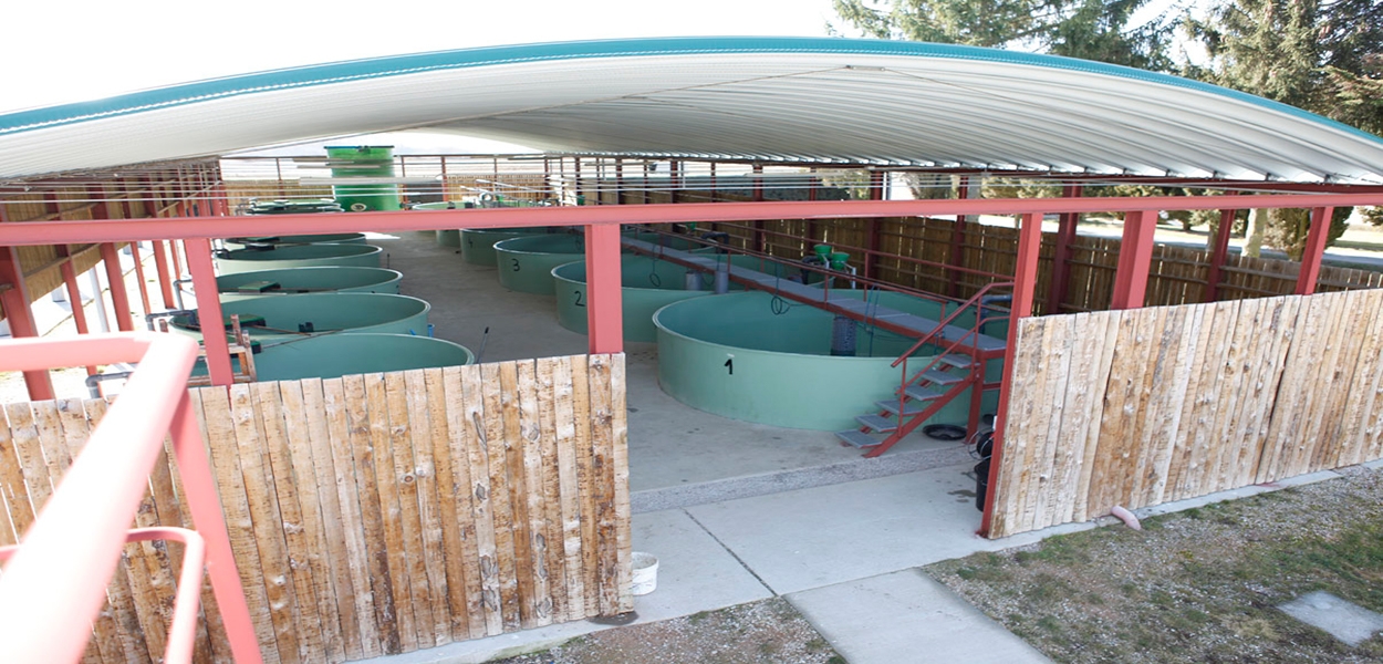 Eurofinsa construyendo futuro