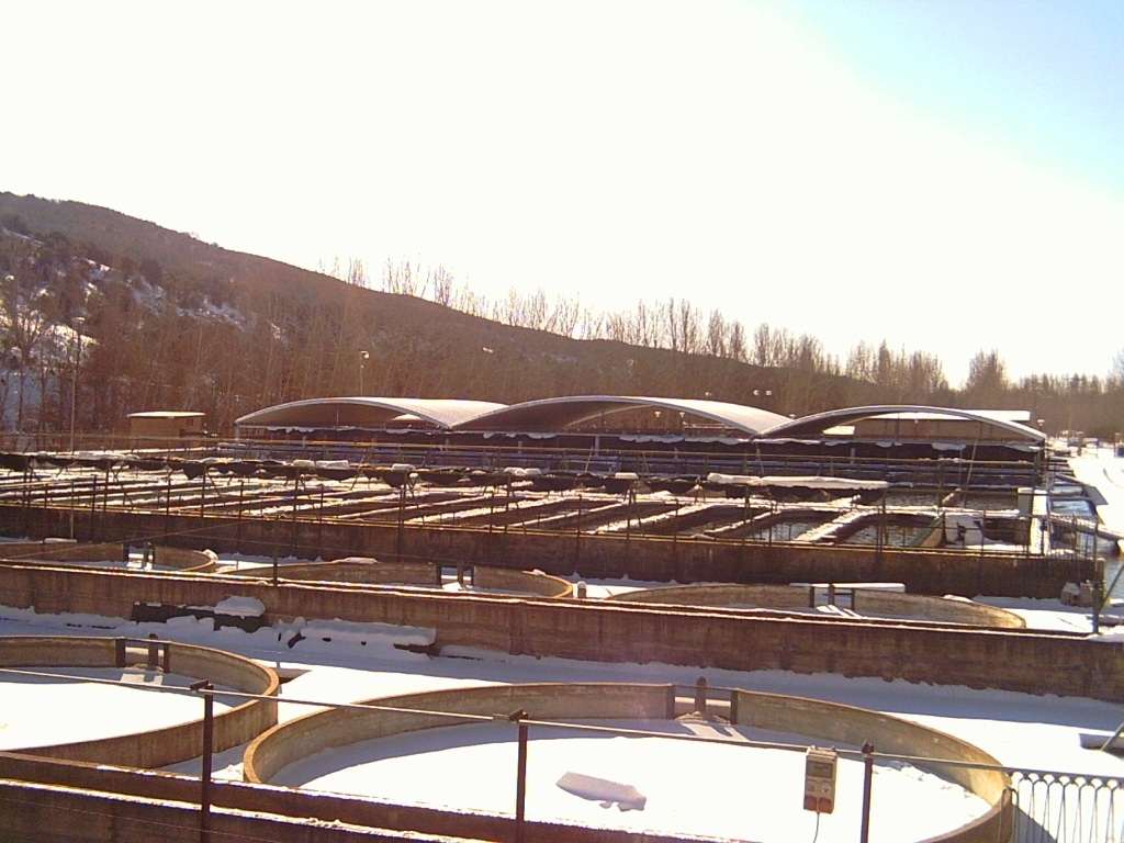 Eurofinsa construyendo futuro